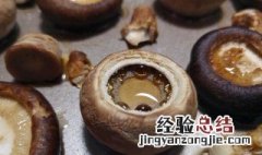 蘑菇怎么做好吃家常做法 蘑菇怎么做好吃