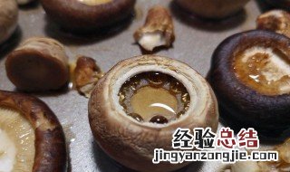 蘑菇怎么做好吃家常做法 蘑菇怎么做好吃