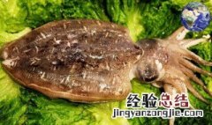 乌贼怎么吃和处理方法 乌贼怎么吃