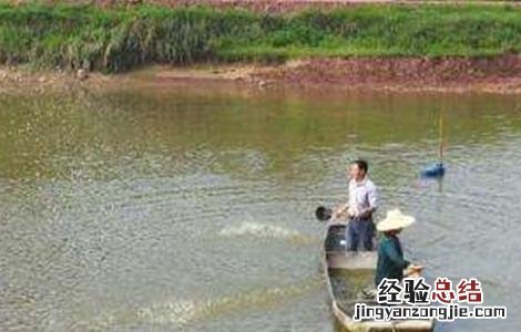 鱼塘要怎么消毒 鱼塘怎么消毒用什么消毒