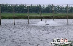 鱼塘要怎么消毒 鱼塘怎么消毒用什么消毒