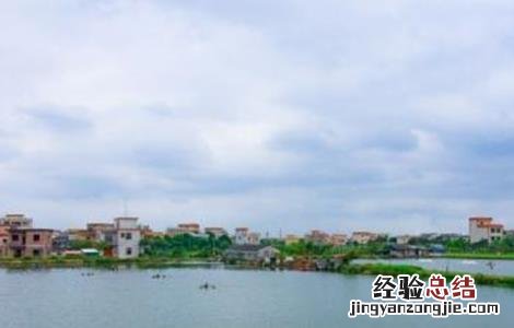 鱼塘要怎么消毒 鱼塘怎么消毒用什么消毒