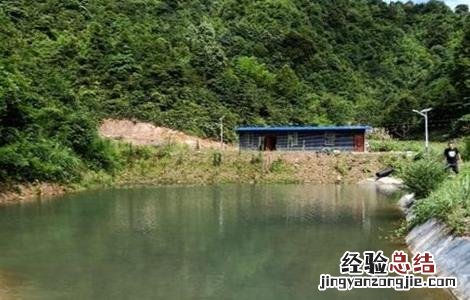 鱼塘要怎么消毒 鱼塘怎么消毒用什么消毒