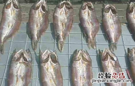 养殖白斑狗鱼的注意事项 白斑狗鱼怎么养