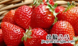 草莓的习性 草莓的特性