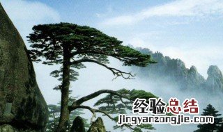 五岳归来后面是什么呢成语 五岳归来后面是什么呢