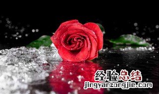 玫瑰花的传说 玫瑰花的传说故事