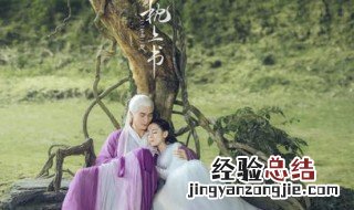 三生三世枕上书多少集生白滚滚 三生三世枕上书70集