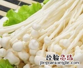 金针菇的功效与作用 平菇的功效与作用