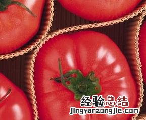 西红柿的营养价值及食用方法 西红柿的营养价值及作用
