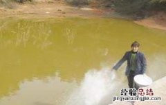 春季养鱼注意事项有哪些 春季养鱼注意事项