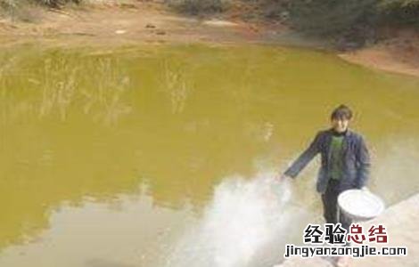 春季养鱼注意事项有哪些 春季养鱼注意事项
