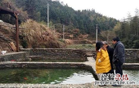 春季养鱼注意事项有哪些 春季养鱼注意事项