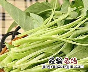 空心菜的功效与作用 冬瓜的功效与作用