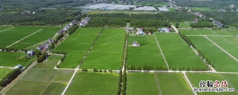 怎么确定是基本农田，一般农用地和基本农田有什么区别