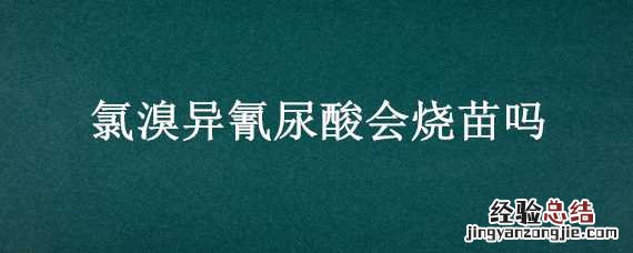 氯溴异氰尿酸会烧苗吗 氯溴异氰尿酸能浸种吗