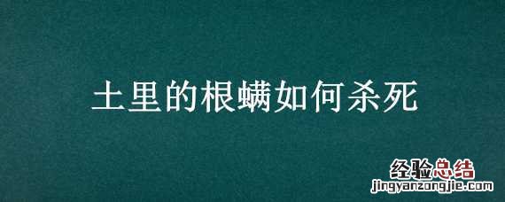土螨 根治 土里的根螨如何杀死