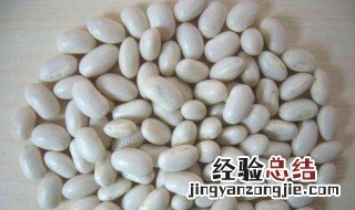 芸豆豆浆做法窍门 芸豆豆浆怎么做