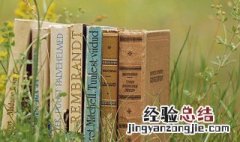 发疯的意思 疯的意思是