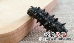 海参最简单做法 海参最简单做法图片