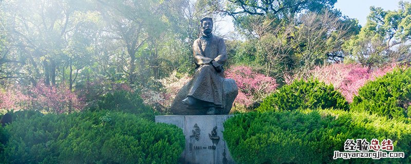 伤逝赏析2000字 伤逝赏析