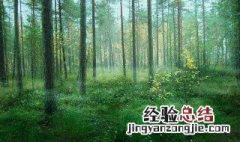 蚊怎么组词 即怎么组词