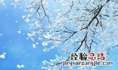 关于下雪的唯美短句有哪些 关于下雪的唯美短句有哪些句子