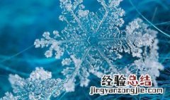 关于雪花像什么的句子有哪些 关于雪花像什么的句子有哪些一年级