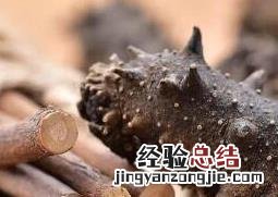 怎样发干海参最好 怎样发干海参最好窍门