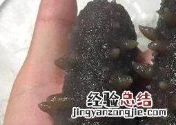 怎样发干海参最好 怎样发干海参最好窍门