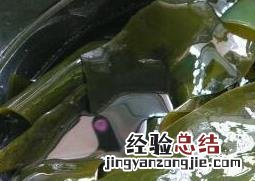 干海带怎么泡发 干海带怎么泡发才好吃