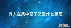 有人在风里爱了又爱 有人在风中爱了又爱什么意思