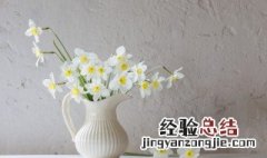 植物换盆后怎么养护 植物换盆后怎么养护土壤