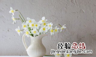 植物换盆后怎么养护 植物换盆后怎么养护土壤