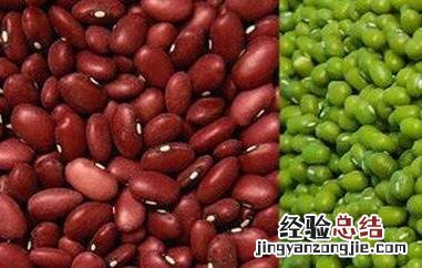 减肥绿豆汤怎么做 绿豆瘦身粥的材料和做法步骤教程