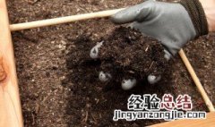 果园堆肥使用方法图片 果园堆肥使用方法