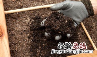 果园堆肥使用方法图片 果园堆肥使用方法