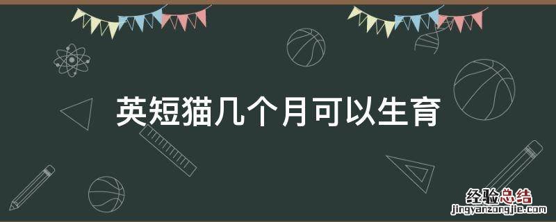 英短猫可以生几只猫 英短猫几个月可以生育