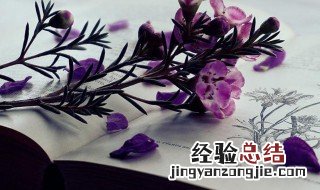 撑天拄地的意思意思解释 撑天拄地什么意思
