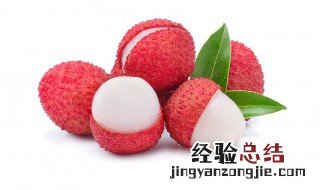 荔枝和啤酒一起吃吗 荔枝能与啤酒一起吃吗