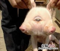国内精品一战二战三战 国内