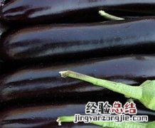 茄子的功效茄子 茄子的常见功效