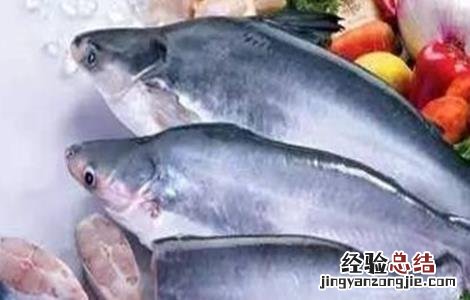 巴沙鱼的人工养殖方法 巴沙鱼的人工养殖方法视频