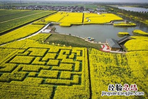 农业类型有哪几种初中地理 农业类型有哪几种