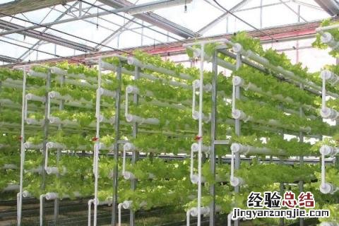 农业类型有哪几种初中地理 农业类型有哪几种
