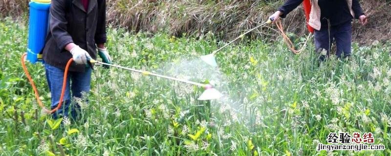 十种常用农药名称,蔬菜检测农药残留标准