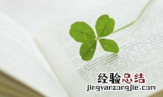 周末愉快的句子 这些句子可以记下来