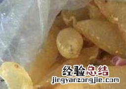 鳘鱼胶和赤嘴胶的区别 鳘鱼胶是赤嘴鱼胶吗