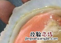 扇贝怎么做 扇贝怎么做不腥