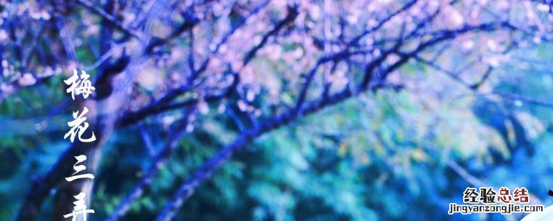 梅花三弄寓意是什么 梅花三弄象征着什么